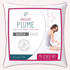 Oreiller plume et duvet de canard